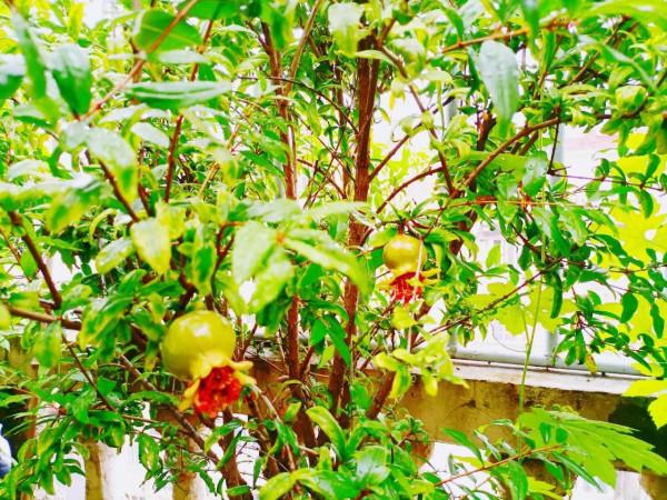 家中煩事(隨筆) 家中煩事(隨筆)