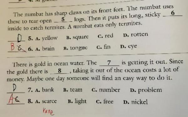 雙減後娃的英語怎麼辦？8000字原版英文練習冊的入手指南送給你