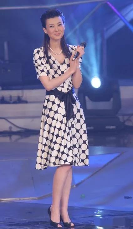 央視主持人李紅寫真集 央視主持人李紅寫真集