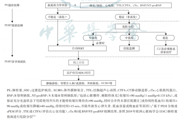急性肺栓塞如何救治？中國多學科專家共識釋出