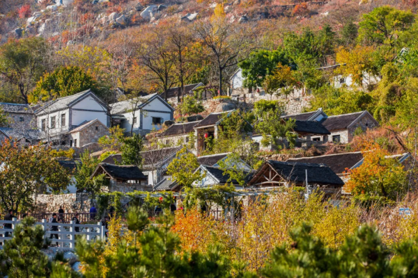 天蒙山中的冬日美景,一刻也不容錯過! 天蒙山中的冬日美景,一刻也不容錯過!