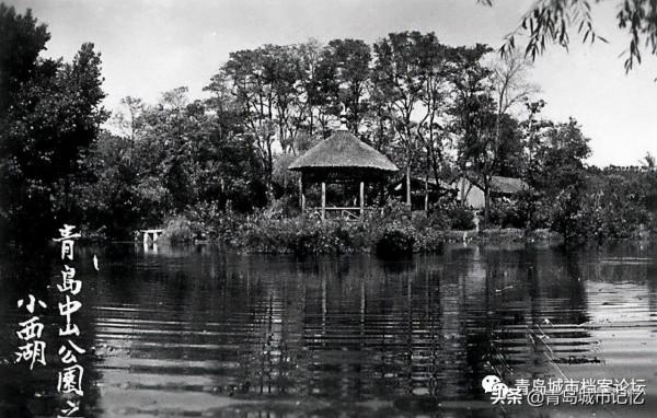 中山公園小西湖，你還記得她曾經的模樣嗎？
