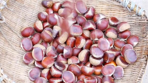 中秋節來臨,這8種“秋果”要多吃,一家人團圓必備,潤肺降秋燥 中秋節來臨,這8種“秋果”要多吃,一家人團圓必備,潤肺降秋燥