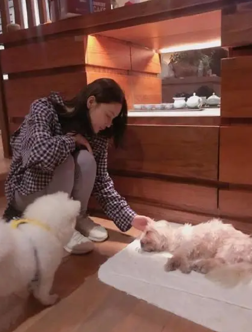 張馨予發聲抵制寵物盲盒，曾因警犬節目與現任丈夫結緣