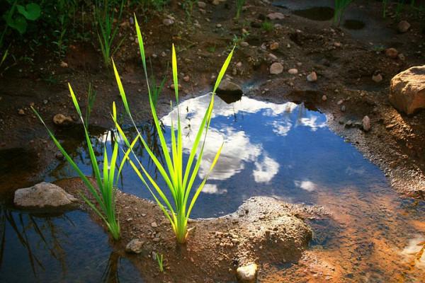父親對孩子有哪些關鍵作用?為什麼母親替代不了父親的角色? 父親對孩子有哪些關鍵作用?為什麼母親替代不了父親的角色?