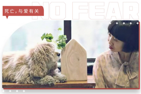 給7529個寵物做墓碑的女孩：有人拿來一片魚鱗，讓我給錦鯉做墓碑