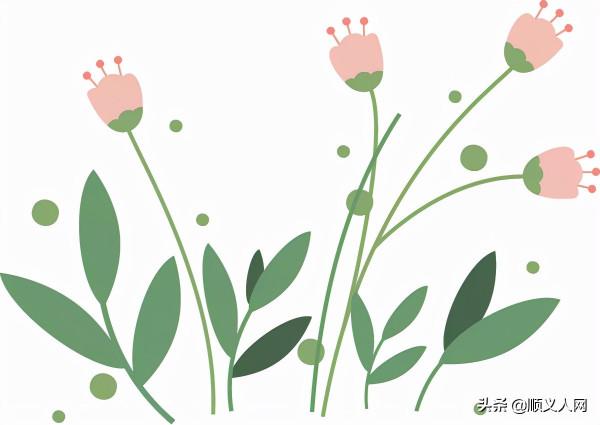 順義這處網紅商業街被評為國家級3A景區,快來打卡 順義這處網紅商業街被評為國家級3A景區,快來打卡