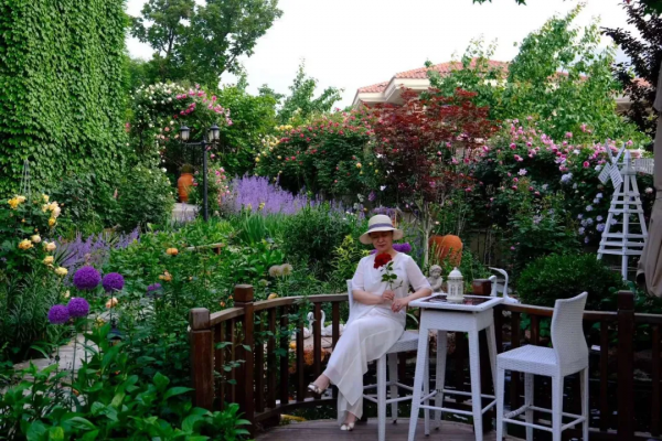 東北花友走遍歐洲著名花園,回國後建了座四季有花的北方花園 東北花友走遍歐洲著名花園,回國後建了座四季有花的北方花園