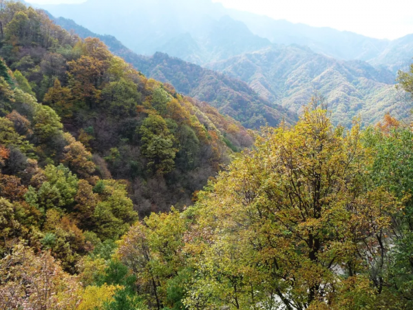 山河地理——雲樹暮春越鳳嶺 山河地理——雲樹暮春越鳳嶺