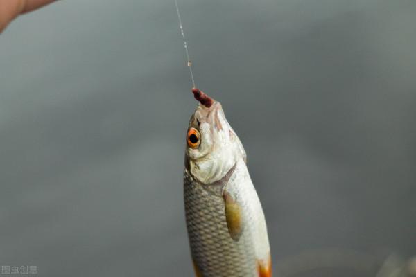 父親為我去釣魚 父親為我去釣魚