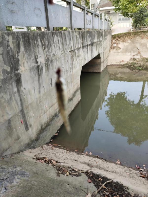 野釣日記(19) 野釣日記(19)