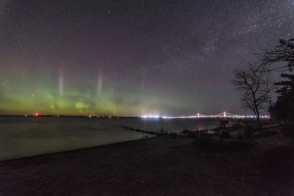 完美旅行畫報 | 美國秋冬最佳候鳥觀賞地
