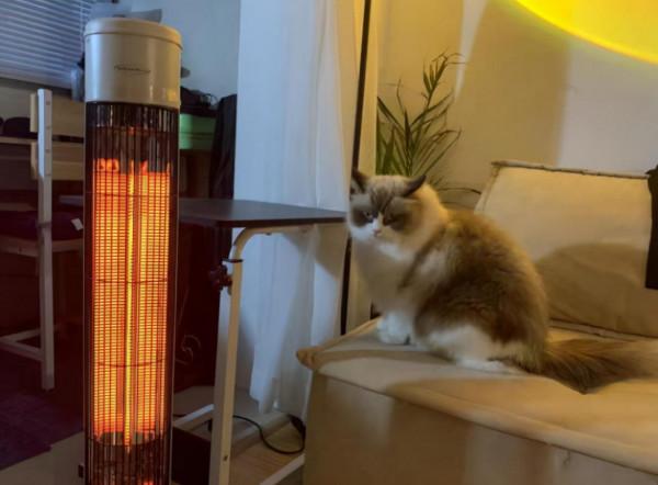 油汀、踢腳暖、暖風機、小太陽，哪種取暖好？節能省電，還得選它