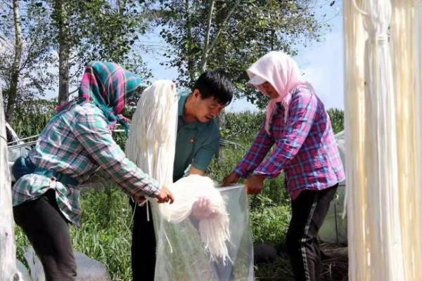 農村大叔百畝地引種肉葫蘆，削皮曬乾出口海外，純利潤是玉米10倍