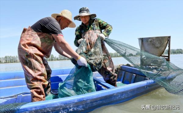 往年大閘蟹搶著買，如今中秋遇冷賣不動，養殖戶無奈：名聲搞臭了