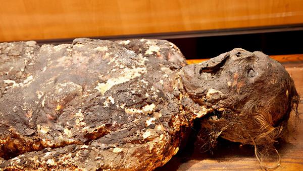 愛因斯坦的大腦、人類最大便便……看了這座博物館，我大開眼界