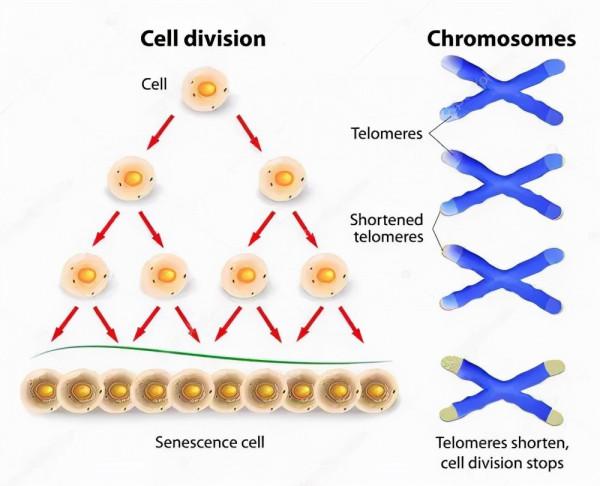 人類進化過程中，有哪些不合常理的事件發生？