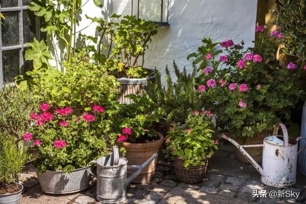 這才是未來農村最奢華的住宅,不過你知道弄個農村戶口有多難? 這才是未來農村最奢華的住宅,不過你知道弄個農村戶口有多難?