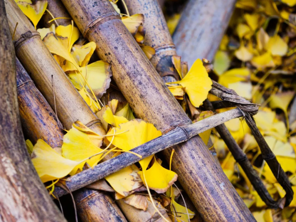 10個藏在深山不為人知的古村落，竟是絕美的“世外桃源”