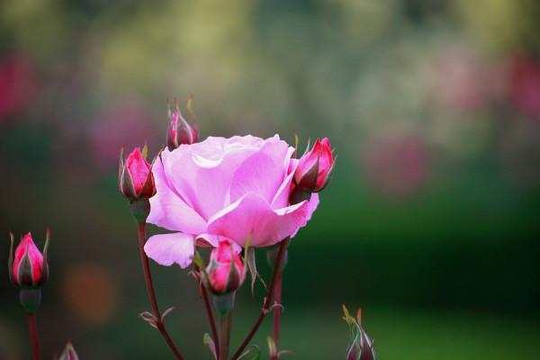 天秤座運勢9.20-26,更關注經濟的重要性,渴望獲得更好的生活 天秤座運勢9.20-26,更關注經濟的重要性,渴望獲得更好的生活