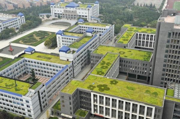 7個省份籌建省會大學,未來的合肥大學領先一個身位 7個省份籌建省會大學,未來的合肥大學領先一個身位