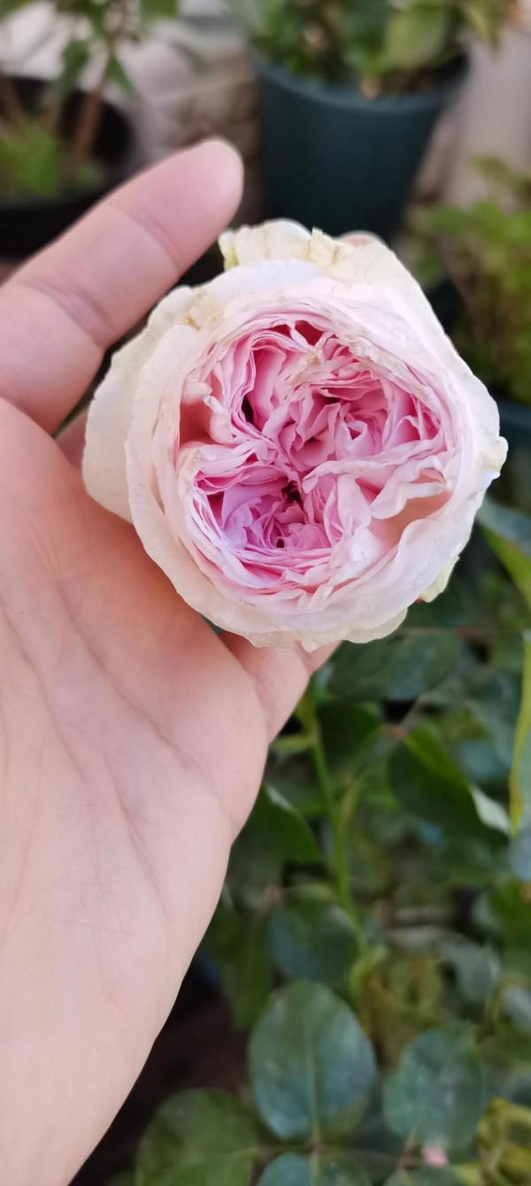 一站有一站的風景，一歲有一歲的悲喜