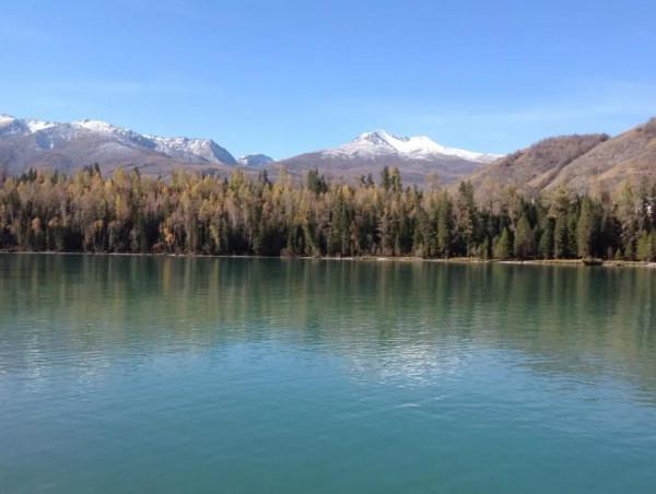 日本女孩挖筍時離奇失蹤，警犬搜尋時詭異行為，引發無數猜想