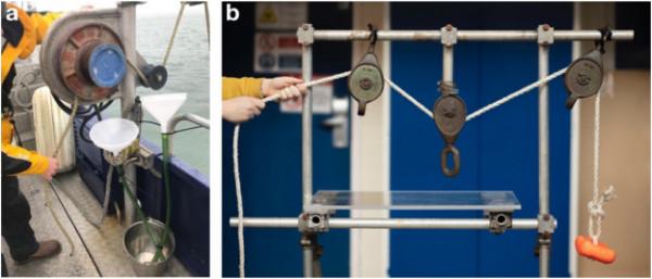 研究稱用於拖動漁網的聚合物繩索可能是微塑膠汙染的一大來源