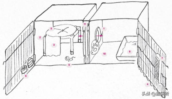假期外出,如何給貓咪找靠譜寄養? 假期外出,如何給貓咪找靠譜寄養?