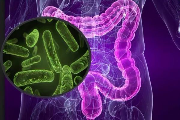 降低結直腸癌風險——從阿司匹林到果蔬