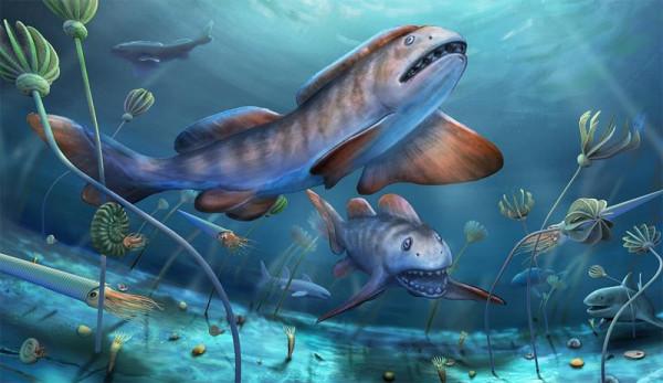 我國首次發現2.9億年前史前巨鯊