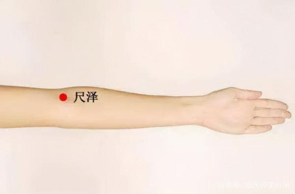 每天只要 5 分鐘，拍一拍，心肝脾肺腎都好了