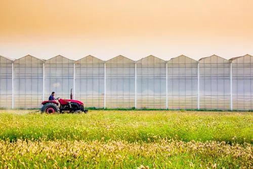 農業發展前景分析探討