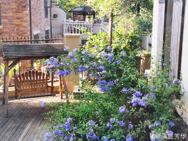 農村人的院子超上檔次，種花不在多，關鍵是選好品種