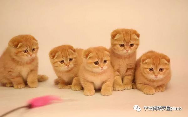 寧空間塔羅屋 一週星程 1月9日-1月15日 今年第一次水星逆行