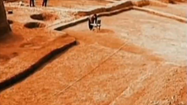 山東挖出6000年前古墓，對骨骸研究後，發現了山東人個子高的原因