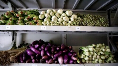 看到這些放心了！雪域高原的官兵們，過冬保障上新