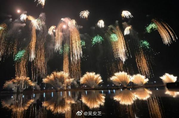 吳安芝 | 我要向煙花道個歉