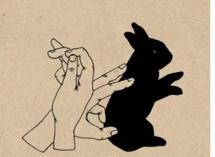 家裡停電了，你還會玩手影遊戲，數星星，找螢火蟲嗎？