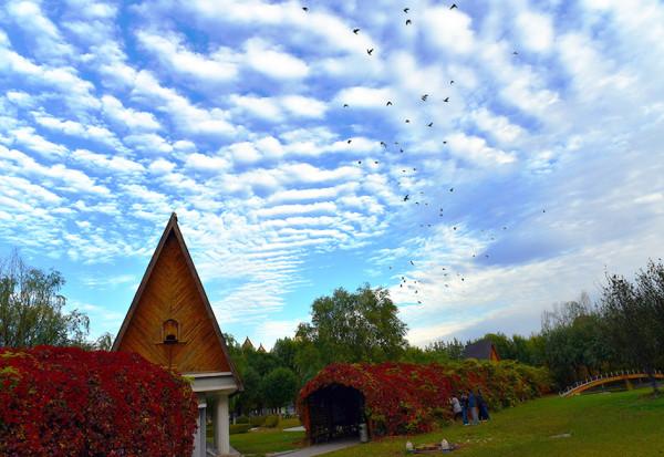 秋 韻 賦----《蝶變回天》北京天通苑靚麗美景拍不完（18）