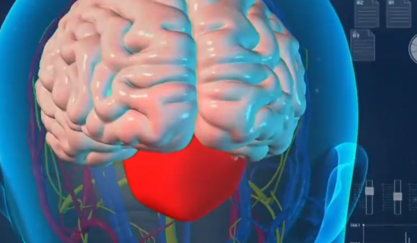 廣西2歲男孩腦部驚現巨大腦瘤,手術過程中風險重重,最後結果如何 廣西2歲男孩腦部驚現巨大腦瘤,手術過程中風險重重,最後結果如何