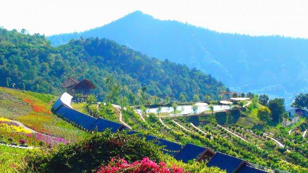 讀博士4年，談3場戀愛，結兩次婚，這個男人很靠譜