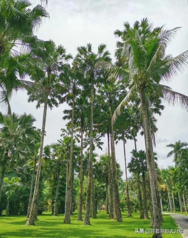 雲南省10家精華景點，去過9處，才算真正玩轉雲南