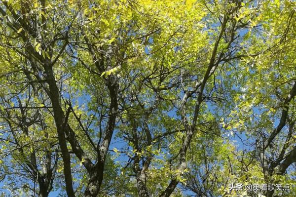 小小說丨給多少錢都不能幹 小小說丨給多少錢都不能幹