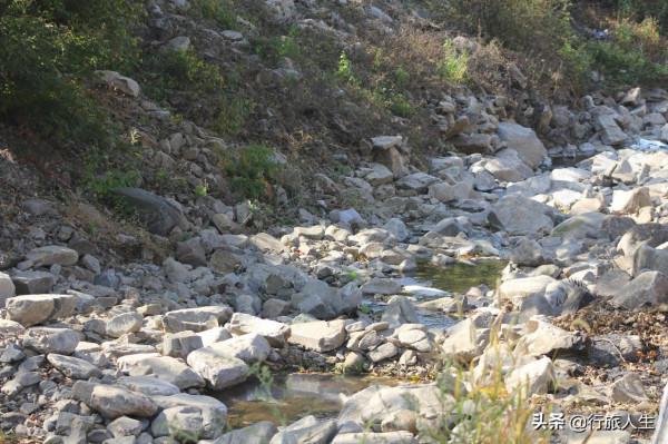 禾火的故事 禾火的故事