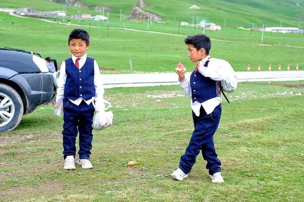 標緻4008環青海長測Day9：鳥島叫“蚊子島”，沿青海沿線達剛察！