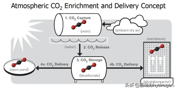 減碳養藻？汙水廠碳中和轉型新出路