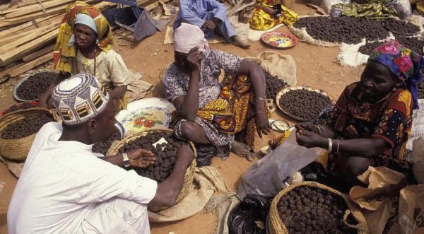 山東小夥當上非洲酋長,封地百畝妻妾成群,他究竟是如何成功的? 山東小夥當上非洲酋長,封地百畝妻妾成群,他究竟是如何成功的?