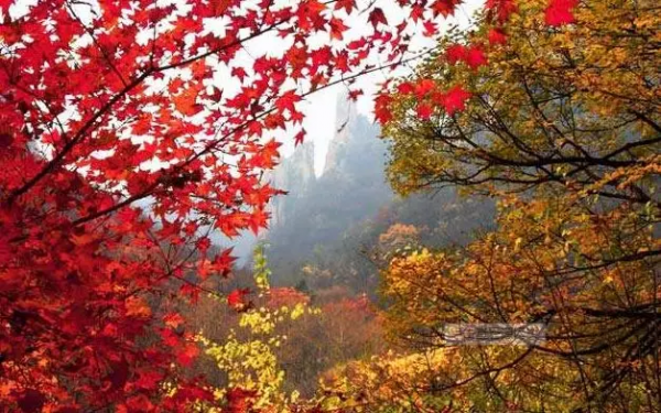 金秋十月，來河北給你“好看”