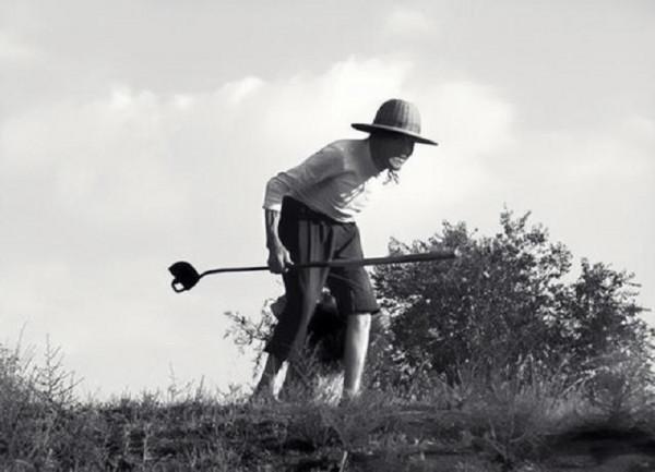 谷中蛟:志願軍的叛徒,讓“萬歲軍”兵敗白馬山,坑死數千名士兵 谷中蛟:志願軍的叛徒,讓“萬歲軍”兵敗白馬山,坑死數千名士兵